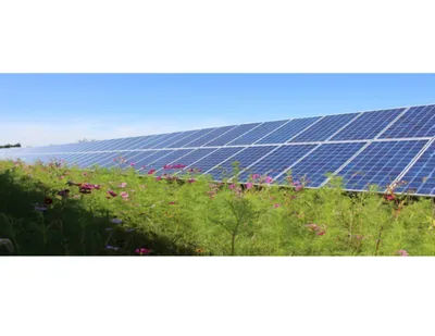 Image from wvpa-community-solar