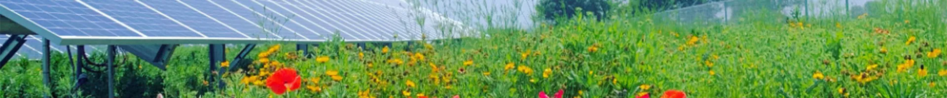Careers: Come shine with Solential